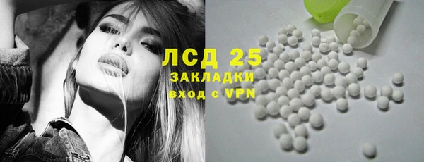 гашик Алзамай