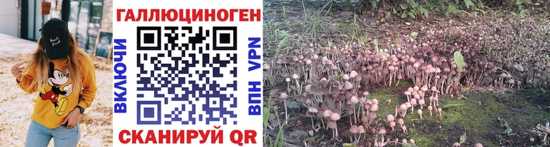 как найти наркотики  blacksprut ONION  Галлюциногенные грибы мицелий  Сысерть 
